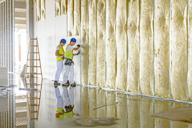 Best Cellulose Insulation  in George Mason, VA